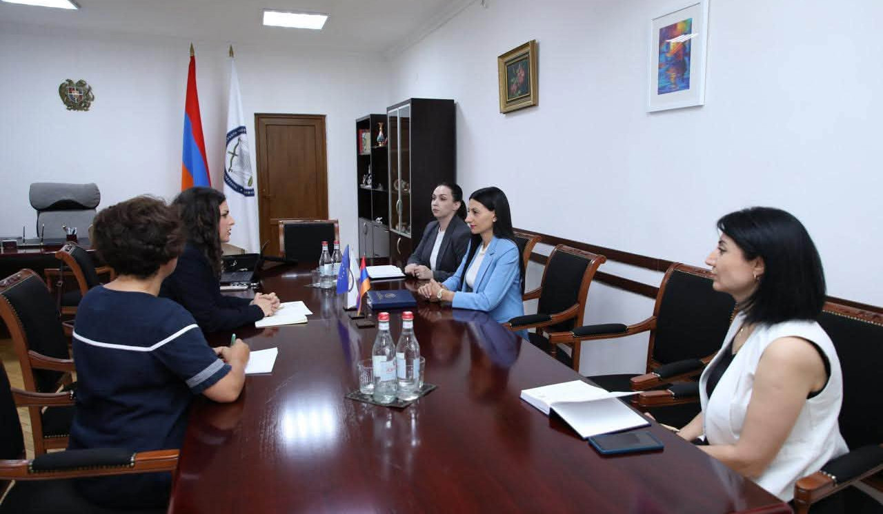 ՄԻՊ Անահիտ Մանասյանն ու եվրոպատգամավոր Մարինա Մեզուրին քննարկել են ոլորտի մարտահրավերները