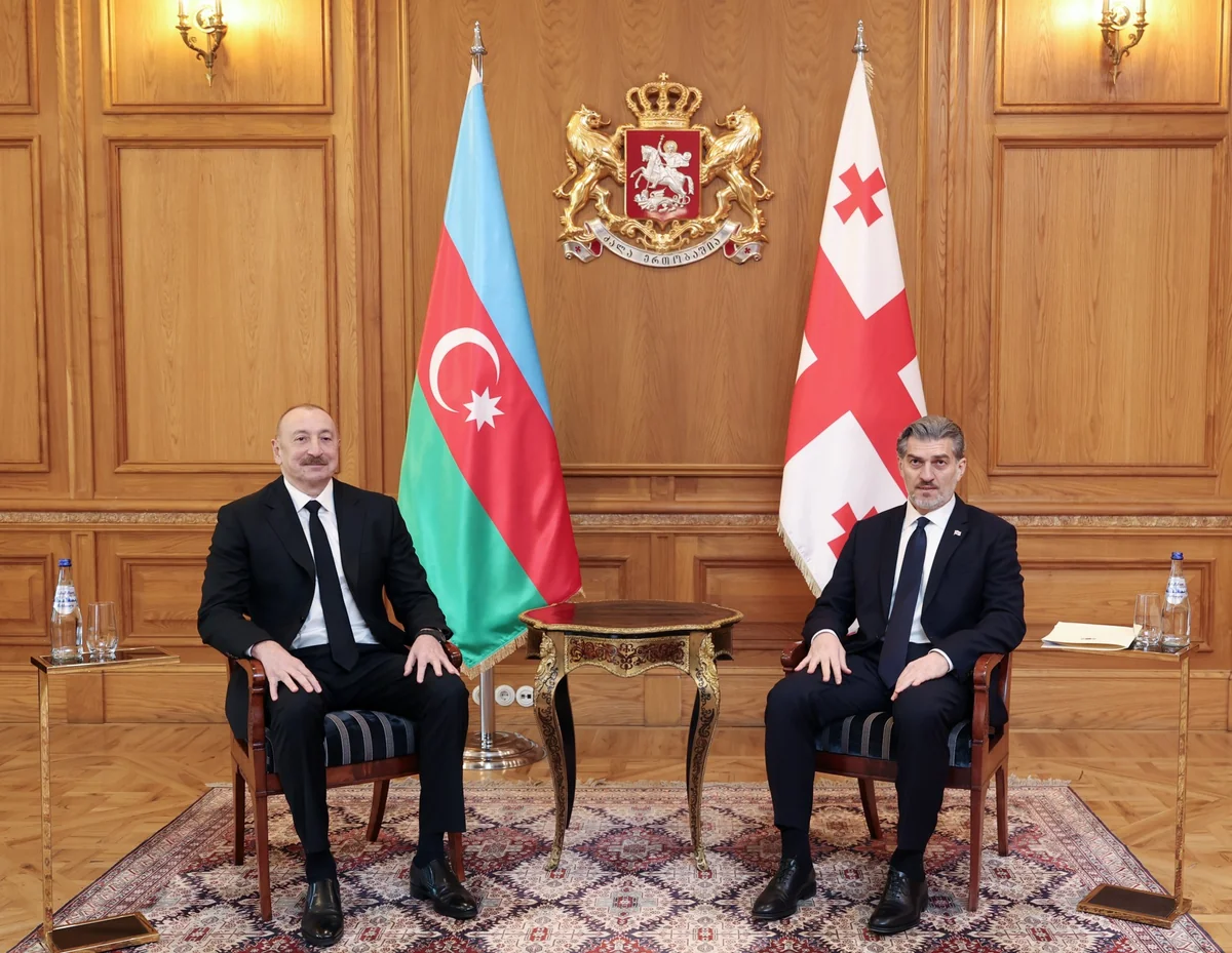 Ալիևը Թբիլիսիում հանդիպել է Վրաստանի նախագահի հետ