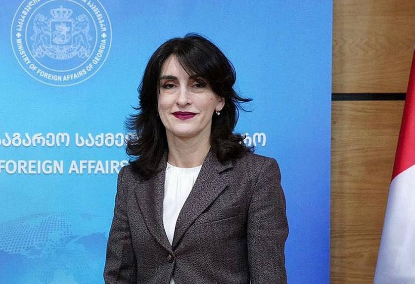 Վրաստանի ԱԳ նախարարը ՝ մեկնաբանել է Ալիևի և Իվանիշվիլիի հանդիպումը