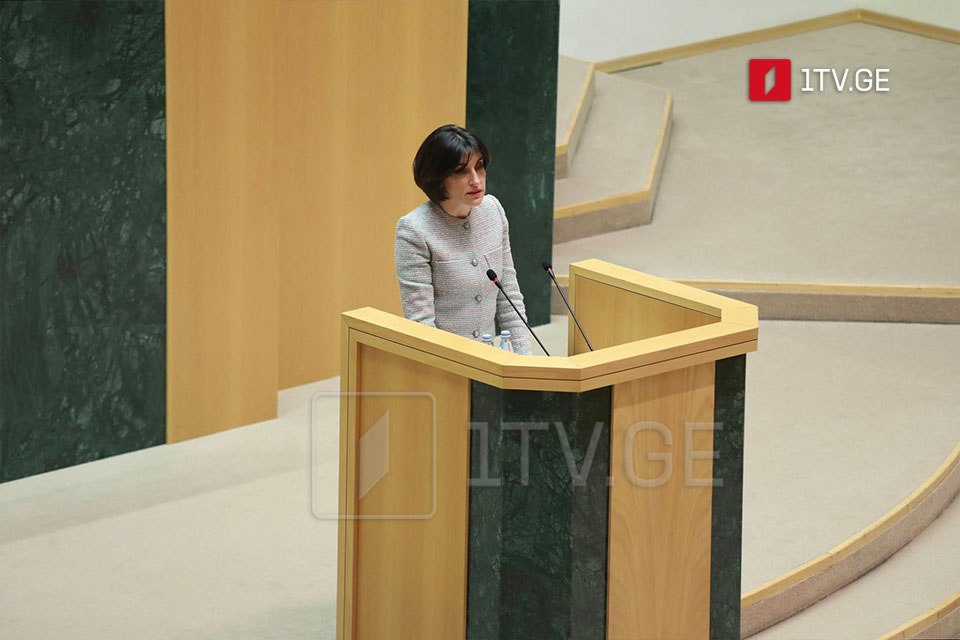 Վրաստանին չհրավիրելը ԵՄ-ի պարադոքսալ որոշումն է. Բոճորիշվիլիի արձագանքը